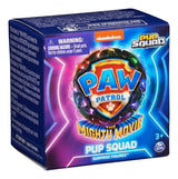 PAW Patrol: Pup Squad Collectible Toy Figures - Assorted