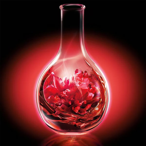 L'ORÉAL PARIS Elvive Color Vibrancy Protecting Shampoo for Color Treated Hair, 12.6 fl. oz.