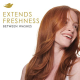 Dove Beauty Volume & Fullness Dry Shampoo, 1.15 oz