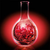 L'ORÉAL PARIS Elvive Color Vibrancy Protecting Conditioner with Anti-Oxidants, 12.6 fl. oz.