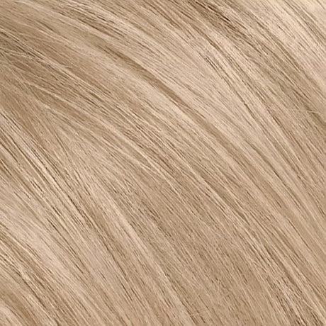 L'ORÉAL PARIS Excellence Triple Protection Permanent Hair Color, 8.5A Champagne Blonde, 6.3 fl. oz.