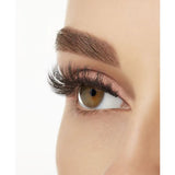 Ardell 3D Faux Mink Lashes - 858 Black-074764704818-LR-339747-4-LR eShop