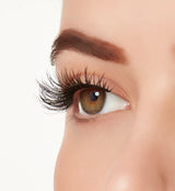 Ardell Active Lash - Gainz-074764646811-LR-348367-5-LR eShop