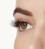 Ardell Aqua Lashes - 341 Black-074764634023-LR-338488-4-LR eShop