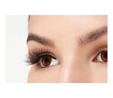 Ardell Double Up Lashes - Double Wispies-074764619150-LR-288325-3-LR eShop