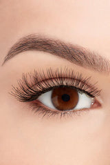Ardell Fashion Lashes - Demi Wispies-074764641106-LR-294083-3-LR eShop