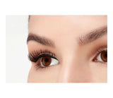 Ardell Magnetic Lashes - Double 110-074764679505-LR-322442-3-LR eShop