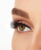 Ardell Mega Volume Lashes - 252 Black-074764664662-LR-319826-8-LR eShop