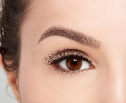 Ardell Natural Lashes - 120 Black, 6 count-074764674180-LR-329911-5-LR eShop