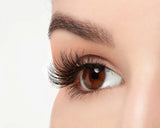 Ardell Studio Effect Lashes - Wispies-074764652461-LR-294079-6-LR eShop