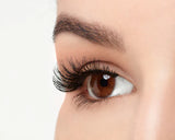 Ardell Studio Effects Lashes - Demi Wispies-074764652454-LR-294078-7-LR eShop