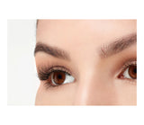 Ardell Twin Pack Lashes - Wispies Black, 2 count-074764614247-LR-328530-3-LR eShop