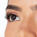 Ardell X-Tended Wear Lash System Kit - Demi Wispies-074764641045-LR-339422-2-LR eShop