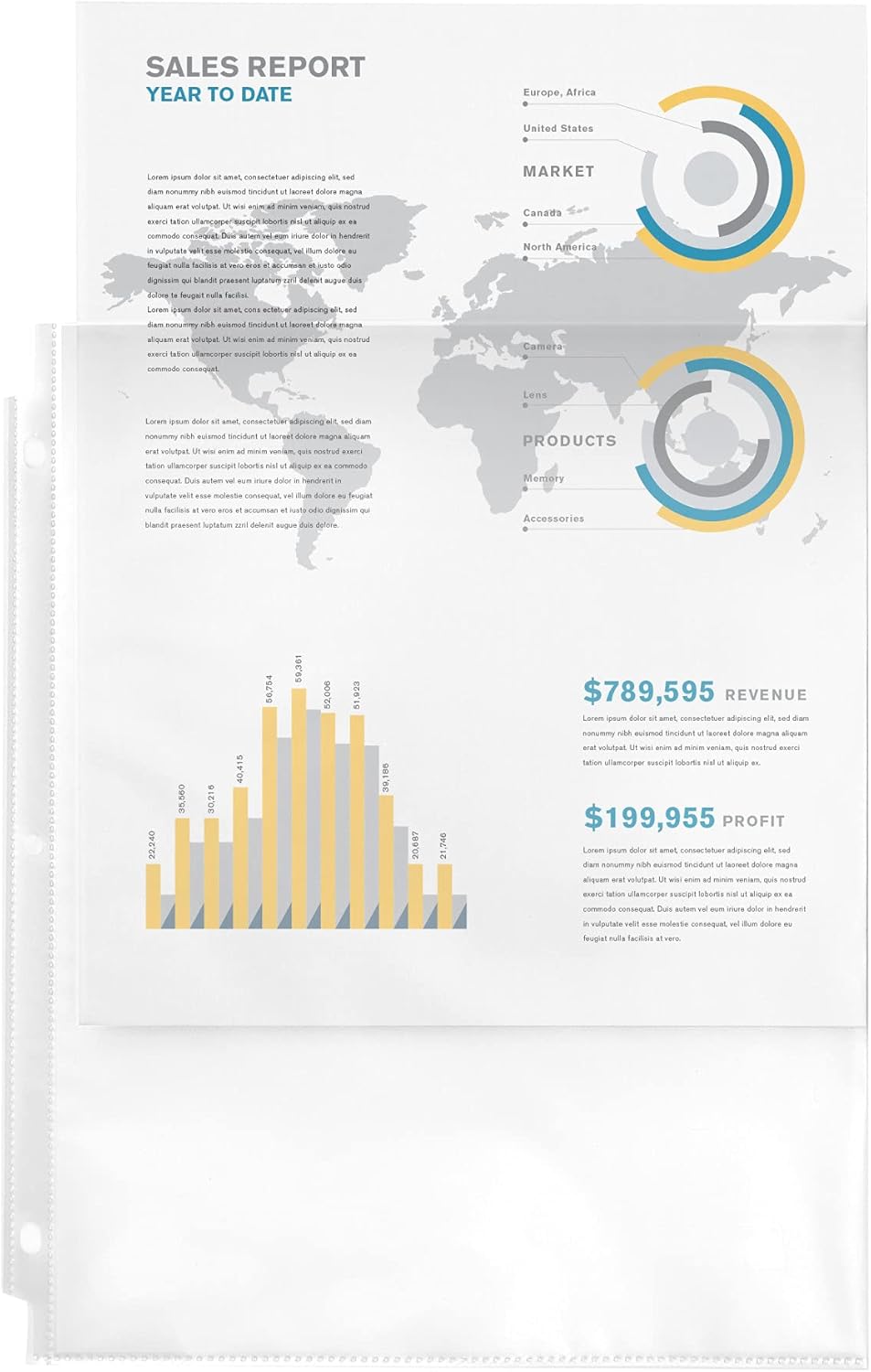 Avery Clear Standard Weight Sheet Protectors, 10 count-077711755406-LR-348698-2-LR eShop