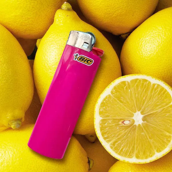 BiC Classic Pocket Lighter - Assorted, 5 count-070330603158-LR-171303-4-LR eShop