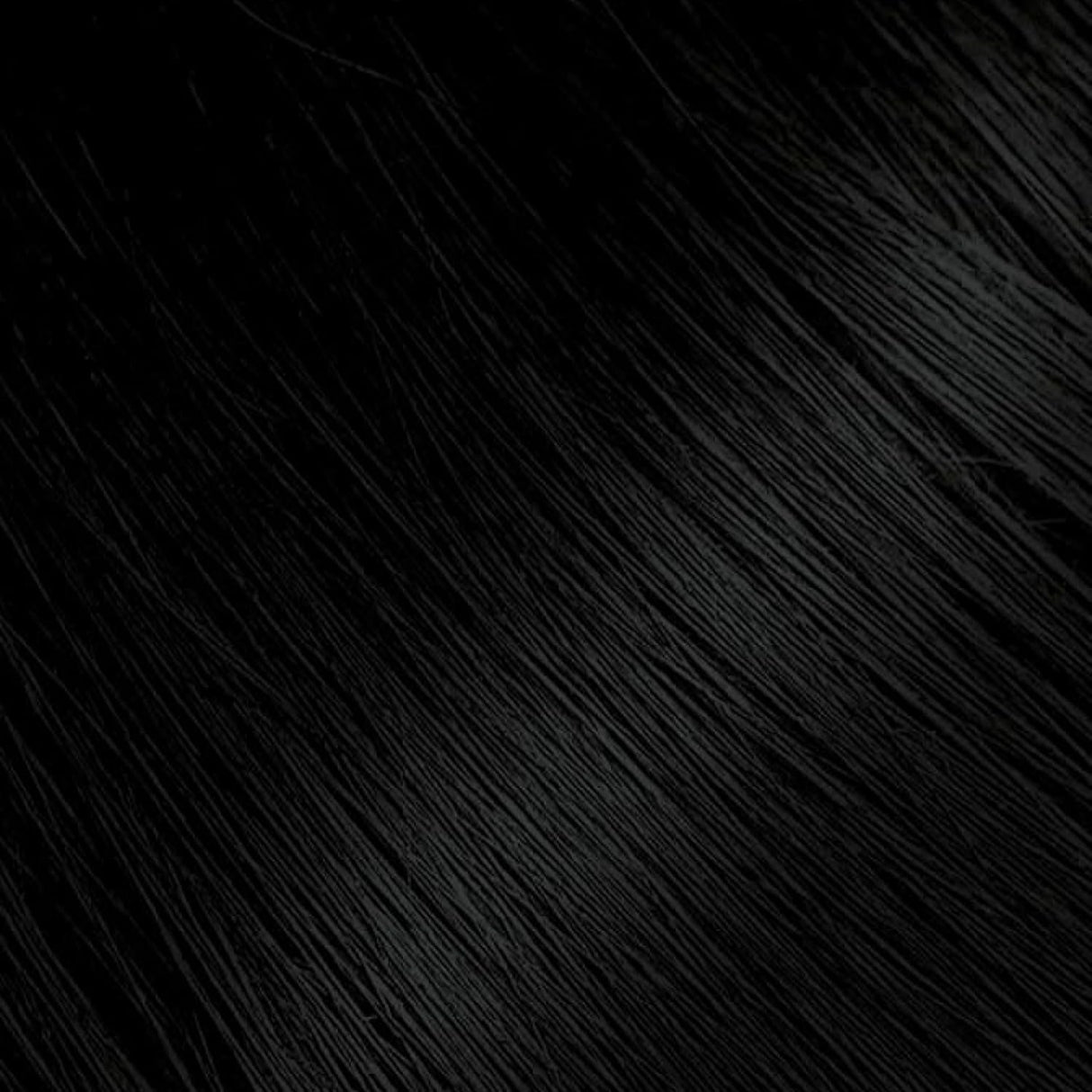 Bigen Permanent Powder Hair Color - 59 Oriental Black-033859905592-LR-238759-2-LR eShop