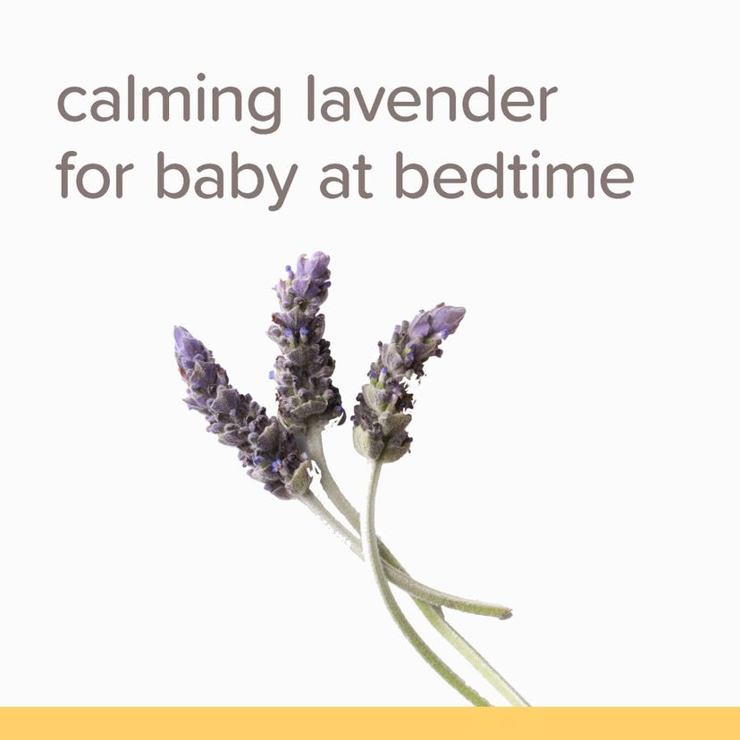 Burt's Bees Baby Shampoo & Wash - Calming, 21 oz-792850017788-LR-292290-5-LR eShop