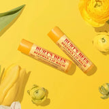 Burt's Bees Beeswax Lip Balm, 2 count-792850002722-LR-352619-8-LR eShop