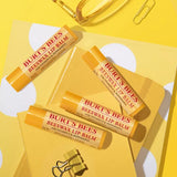 Burt's Bees Beeswax Lip Balm, 2 count-792850002722-LR-352619-9-LR eShop