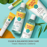 Burt's Bees Clear & Balanced Deep Cleansing Acne Scrub with Salicylic Acid, 4 oz-792850001794-LR-251003-10-LR eShop