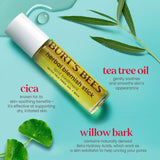 Burt's Bees Clear & Balanced Herbal Blemish Stick-792850887992-LR-202443-4-LR eShop