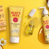 Burt's Bees Facial Cleansing Oil with Coconut & Argan Oil, 6 oz-792850894099-LR-291302-10-LR eShop
