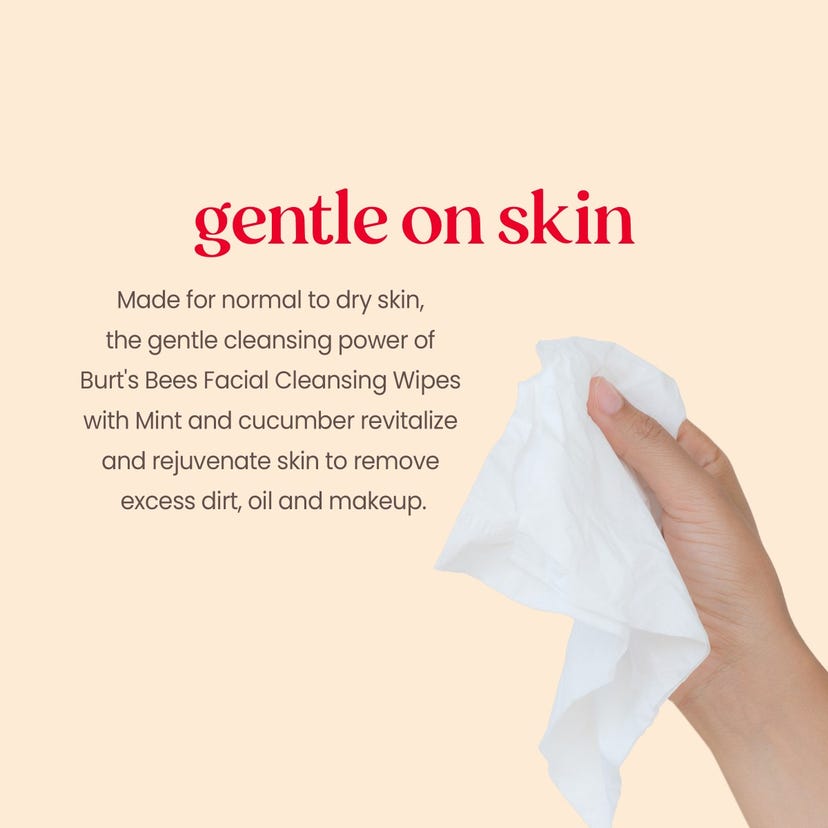 Burt's Bees Facial Cleansing Towelettes with Cucumber & Mint, 30 count-792850018129-LR-270744-5-LR eShop