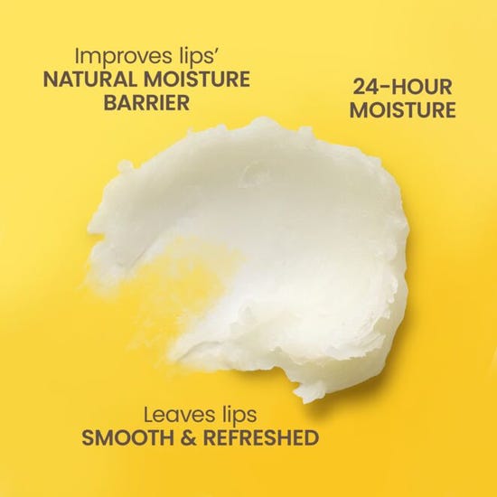 Burt's Bees Lip Balm Sweet Peach Blister Box 48/0.15oz-792850653009-LR-346469-3-LR eShop