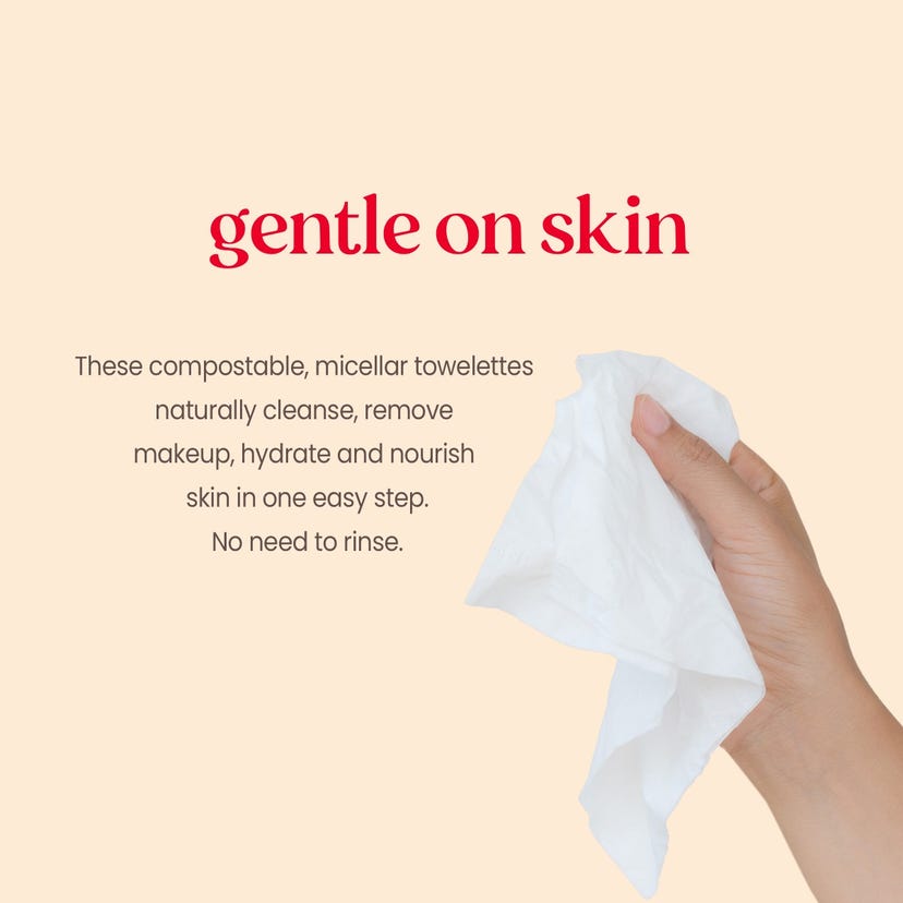 Burt's Bees Micellar Makeup Removing Towelettes with Rose Water-792850908369-LR-346701-5-LR eShop