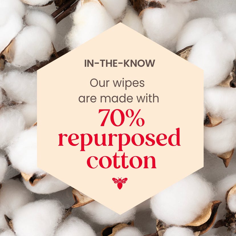 Burt's Bees Micellar Makeup Removing Towelettes with Rose Water-792850908369-LR-346701-8-LR eShop