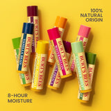 Burt's Bees Moisturizing Lip Balm - Beeswax, 2 count-792850155008-LR-344663-10-LR eShop