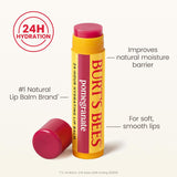 Burt's Bees Moisturizing Lip Balm - Pomegranate, 2 count, Carded-792850215993-LR-293023-4-LR eShop