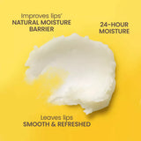 Burt's Bees Natural Origin Lip Balms - Lavender Vanilla, 2 count-792850663404-LR-362285-5-LR eShop