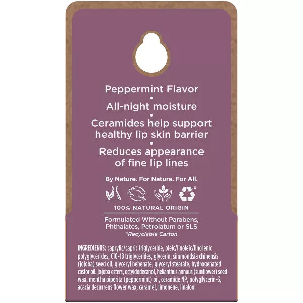 Burt's Bees Overnight Intensive Lip Treatment-792850901605-LR-327114-12-LR eShop