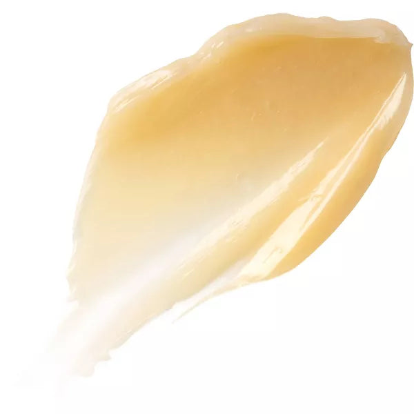 Burt's Bees Overnight Intensive Lip Treatment-792850901605-LR-327114-3-LR eShop