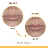 Burt's Bees Rescue Lip Balm - Cooling Eucalyptus, 2 count-792850911857-LR-351213-7-LR eShop