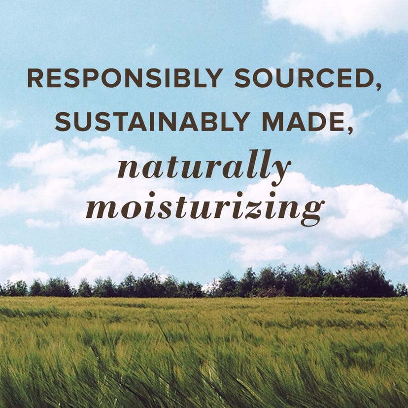 Burt's Bees Rescue Lip Balm - Cooling Eucalyptus, 2 count-792850911857-LR-351213-8-LR eShop