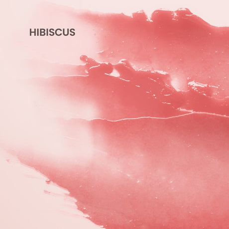 Burt's Bees Tinted Lip Balm - Hibiscus-792850894624-LR-296254-2-LR eShop