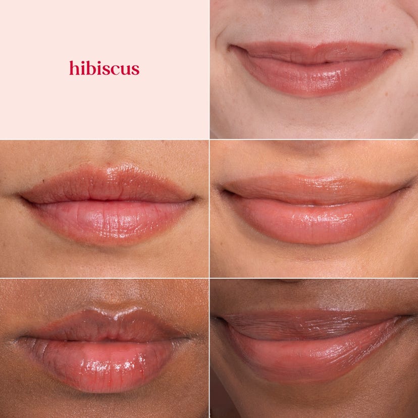 Burt's Bees Tinted Lip Balm - Hibiscus-792850894624-LR-296254-3-LR eShop