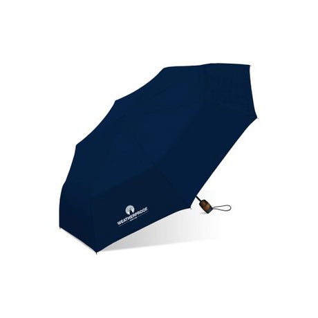 Chaby Auto Open Mini Umbrella 42 In Assorted Color-082815978507-LR-251109-1-LR eShop