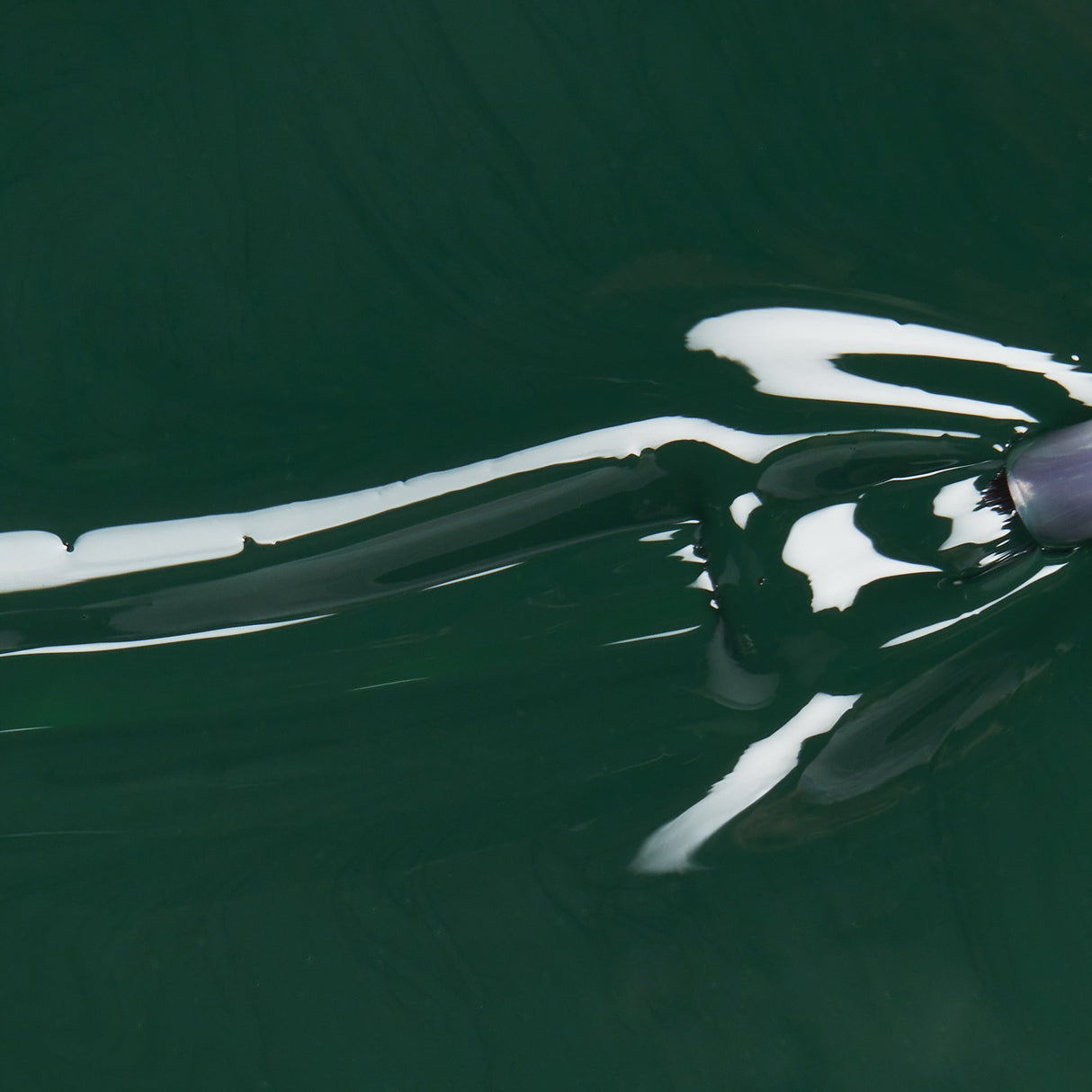 china glaze Nail Lacquer, Glossy Finish - Midnight Pine-019965431170-LR-360561-3-LR eShop