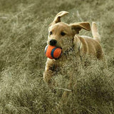 Chuckit! Ultra Ball Dog Toy - Small, 2 count-660048170204-LR-351496-6-LR eShop