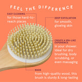 CLEANLOGIC Bath & Body Wooden Bristle Bath Brush-856091001712-LR-290947-2-LR eShop