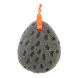 CLEANLOGIC Detoxify Foam Body Sponge-813606020729-LR-317587-2-LR eShop