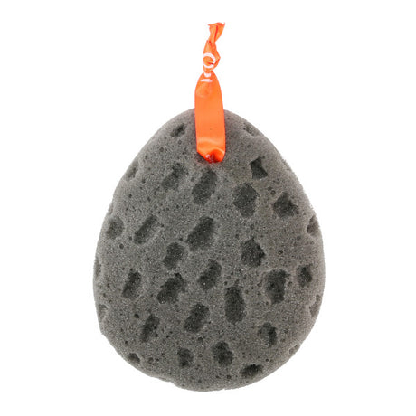 CLEANLOGIC Detoxify Foam Body Sponge-813606020729-LR-317587-2-LR eShop