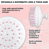 CONAIR Scalp Care Massager Treatment and Detangle Brush - White-074108952561-LR-354222-3-LR eShop