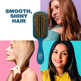 CONAIR The Knot Dr. Pro Style Booster Porcupine Cushion Hairbrush-074108955548-LR-352764-5-LR eShop