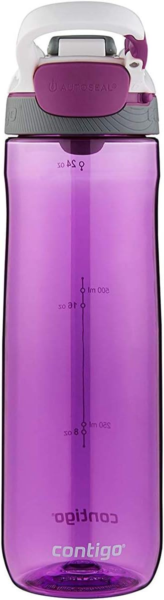 Contigo Autoseal Cortland Water Bottle, Radiant Orchid, 24 oz-840276106170-LR-301073-3-LR eShop