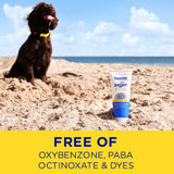 Coppertone Sport Face Sunscreen Lotion SPF 60+, 2.5 Fl Oz Tube-072140038267-LR-363524-4-LR eShop