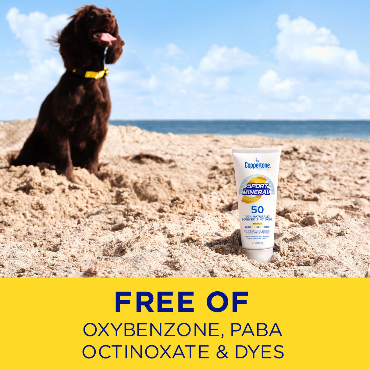 Coppertone Sport Mineral SPF 50 Sunscreen Lotion, 5 fl. oz-072140028695-LR-363356-6-LR eShop